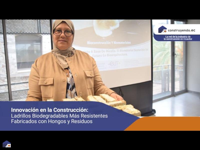 Innovación en la Construcción: Ladrillos biodegradables más resistentes fabricados con hongos y residuos