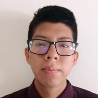 Dave Javier Prudente Del Pezo