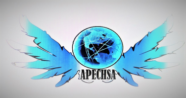 APECHSA S.A.